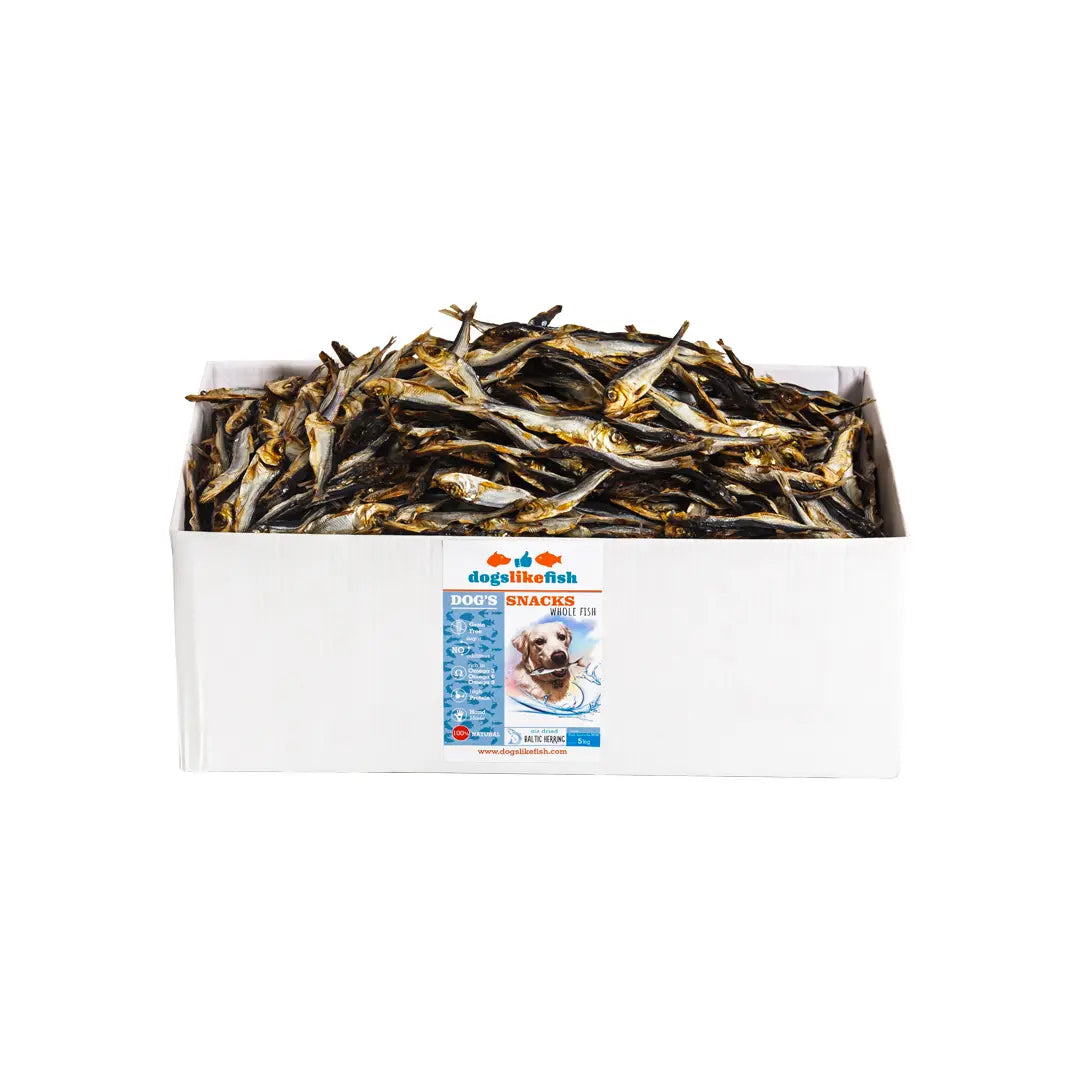 Dried Baltic Herring - Bulk Dogslikefish