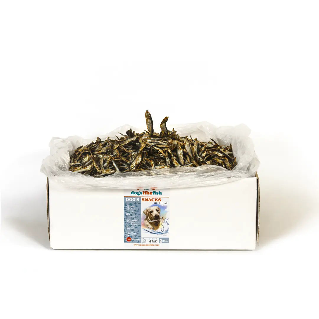 Dried Sprats - Bulk Dogslikefish