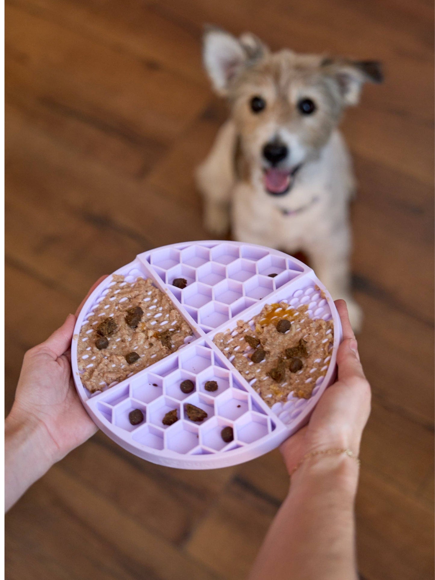Purple Dog Lick Mat