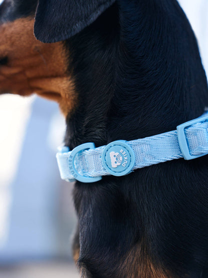 Soft Blue Dog Collar