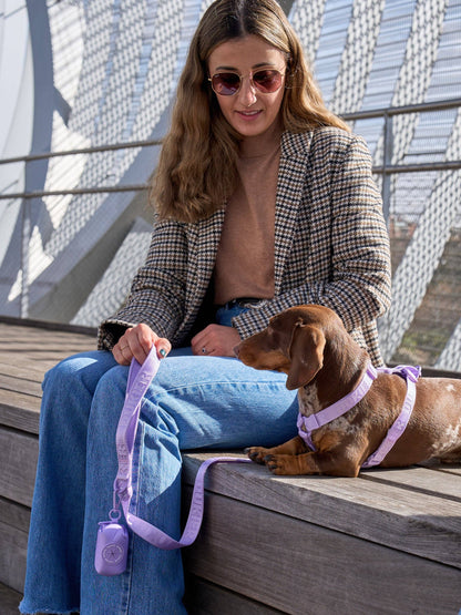 Purple Poop Bag Holder