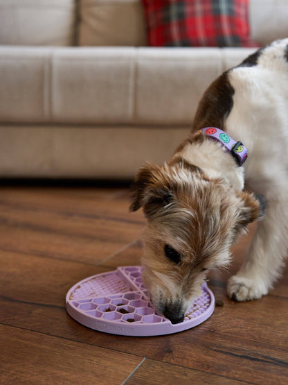 Purple Dog Lick Mat