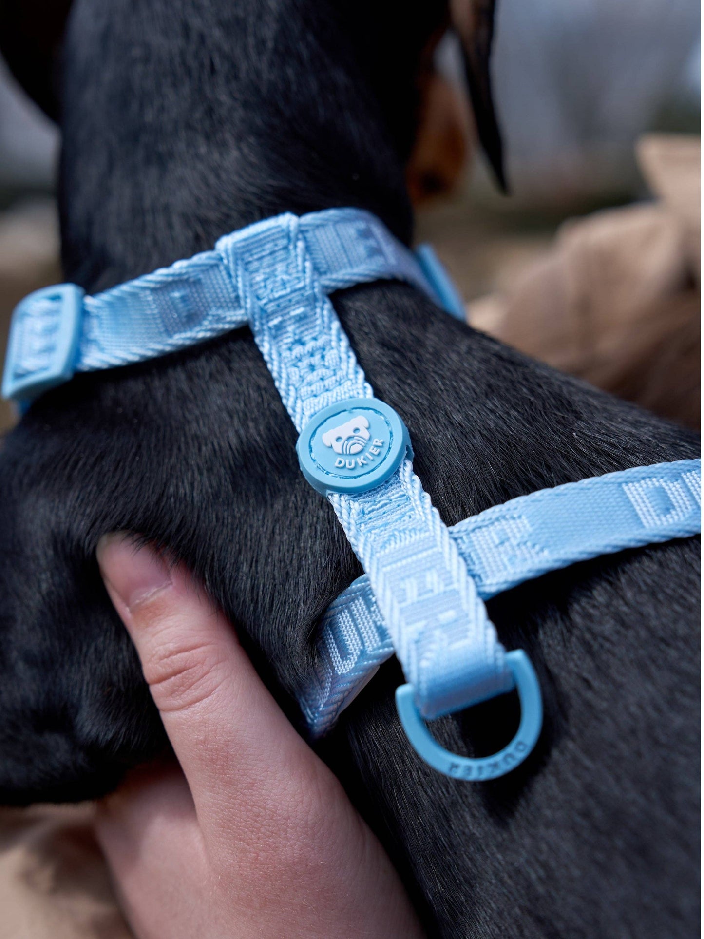Classic Dog Harness Soft Blue