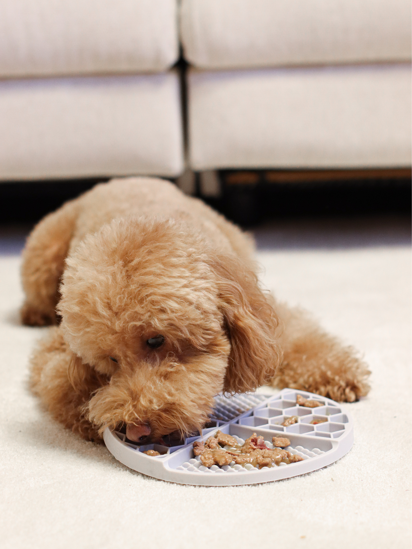 Blue Dog Lick Mat