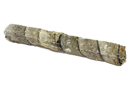 Cod skin – Large sticks